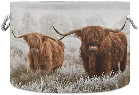 Coș de frânghie din bumbac Scottish Highland Cow, XXX coș mare de depozitare pliabil pentru jucării, perne, pături în sufragerie, spălătorie, baie, Decor pentru Casă