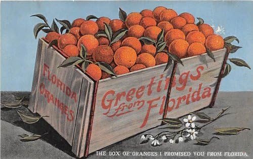 Salutări de la, Florida Postcard