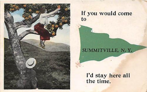 Summitville, New York Postcard
