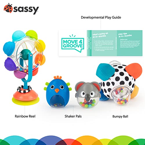 Sassy Move & Groove Baby Box - 6+ luni