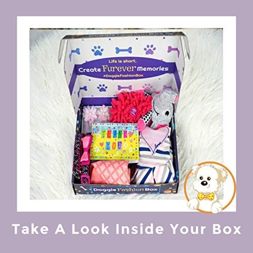 The Doggie Fashion Box-jucării pentru câini cu tematică distractivă, cămașă la modă, bandană pentru câini și un Set de arcuri: