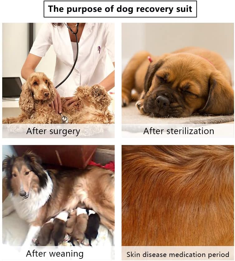 Costum de recuperare Zimaoshan pentru câini după operație, e-guler și conuri alternativă ， Prevenirea codului de câine de lingură