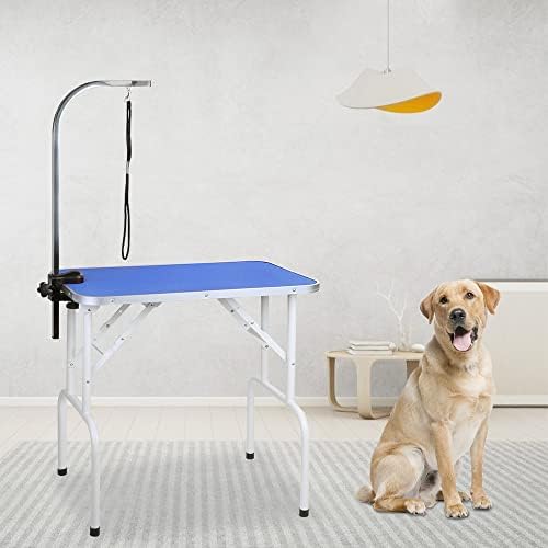 Masă de îngrijire a câinilor de companie LEIBOU masă de îngrijire pliabilă cadru de fier rezistent cu braț și Laț pentru îngrijirea
