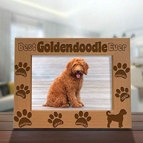 Cadru de imagine Kate Posh Goldendoodle, cel mai bun Goldendoodle vreodată, cadou nou pentru cățeluși, cadou iubit de câini,